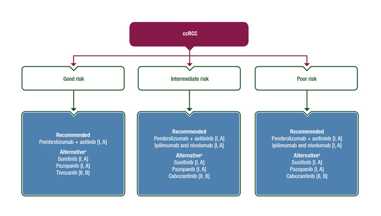 IRA II  : Cancer du rein : Recommandations de l’ESMO 2020 pour le traitement du cancer du rein avancé